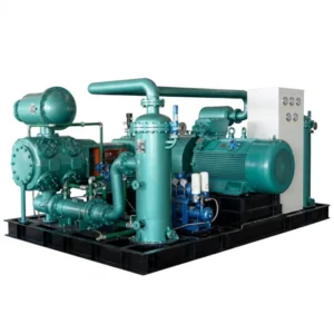 Gas Compressor